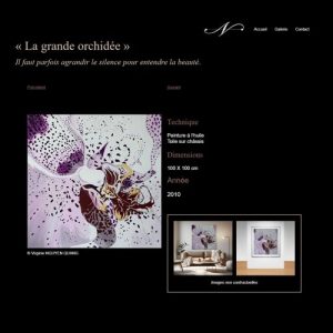Page produit du site Vigie Artiste peintre